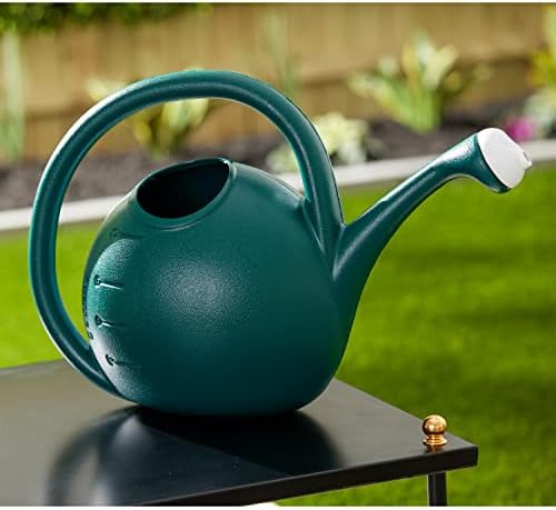 2-Gallon Premium Plastic Rosette Watering Can - The HC Companies 11"x21"x13.75" in Evergreen Color