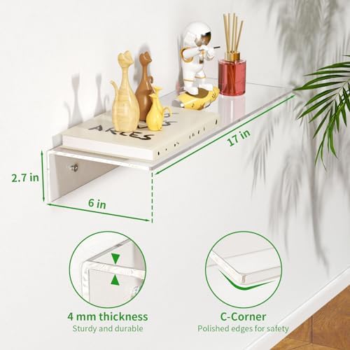 FEMELI 2 PCS 12" Acrylic Floating Shelves, Clear Shelf for Wall Display