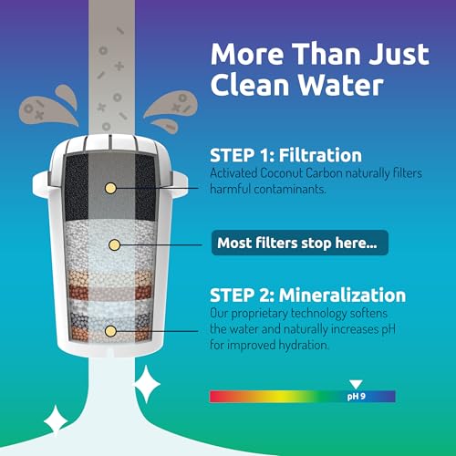 Invigorated Water Alkaline Water Filter Dispenser, 53-Cup Large Capacity