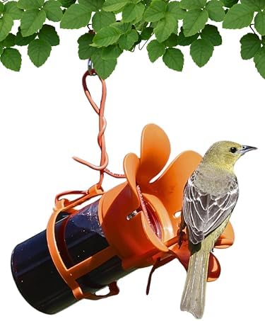 Glass Jelly and Jam Bird Feeder, Hanging Oriole Treat Dish | Jelly and Jam Feeder; Glass Dish; Hanging Design; Attracts Orioles