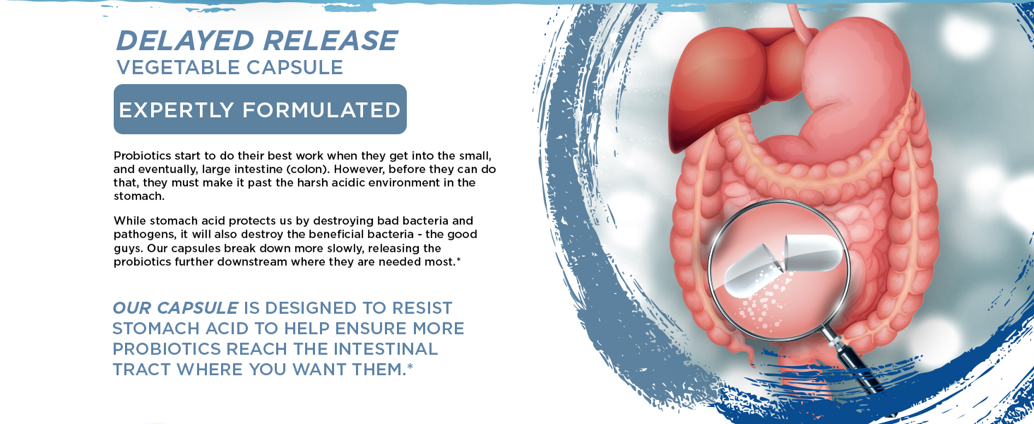 provide both immune support and digestive support in one complete product