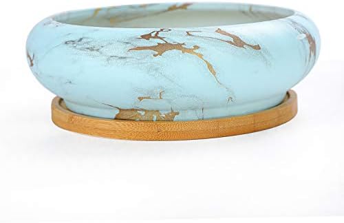 Succulent Pots, 7.3'' Large Bonsai Pots with Tray, Shallow Planters