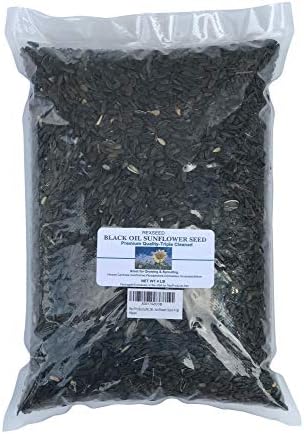 Black Oil Sunflower Seed 4 LB
