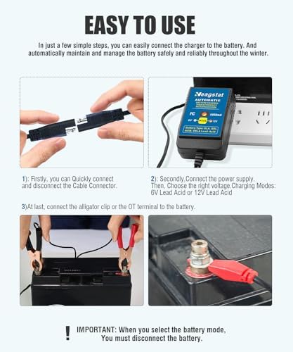 Heagstat HEAG020 Trickle Battery Charger, 12V 2000mA Battery Maintainer