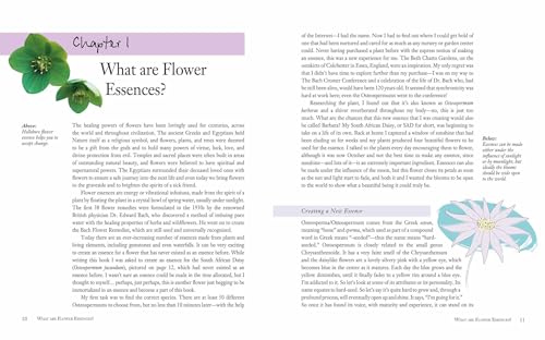 Flower Essences for Well-being: Energetic healing for health and harmony
