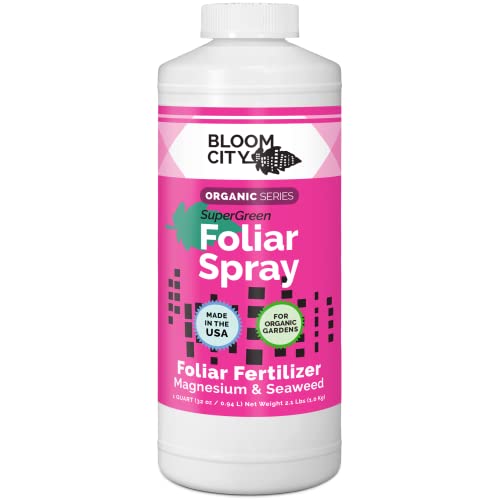 Bloom City Supergreen Organic Kelp Foliar Spray – Liquid Plant Supplement for Faster Nutrient Uptake, Greener Leaves & Vigorous Growth, 32 oz