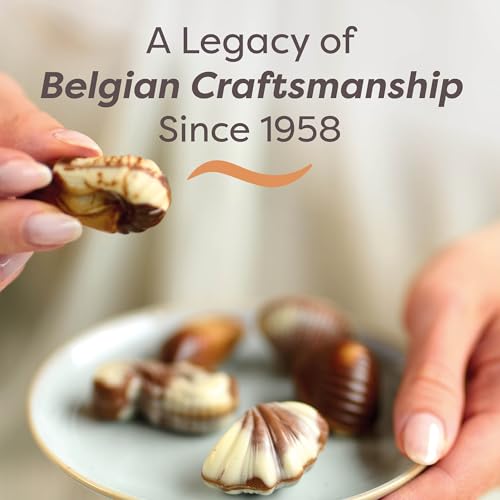 Guylian Belgian Chocolate Seashells, 22 Pieces Hazelnut Praliné, 8.82 Ounce | Gourmet Truffles, Assorted White and Milk Chocolate