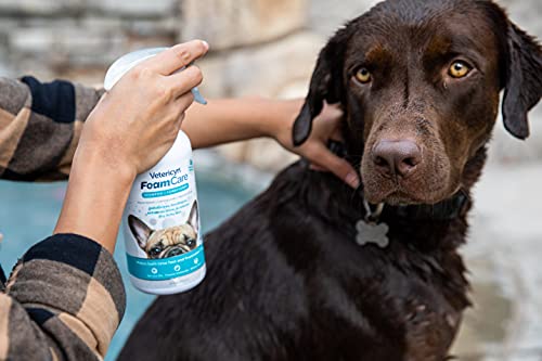 Vetericyn FoamCare Medicated Dog Shampoo - Instant Foaming, Spray-On Hypoallergenic Shampoo, Medicated Formula for Sensitive Skin, Safe for Dogs and Cats. 16 Ounce