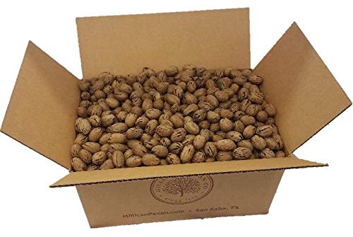 30 lb - Texas Squirrel Grade In Shell & Cracked Pecans Bulk | Millican Pecan since 1888 | San Saba, TX