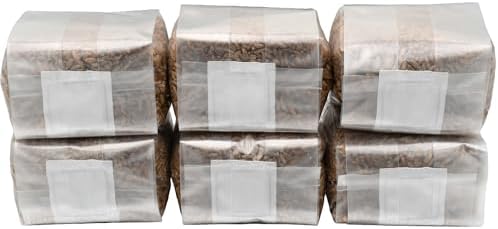 Six 1 Pound Bags of Sterilized Rye Berries Substrate in Mushroom Grow Bags