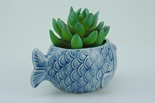 VanEnjoy 5" Ceramic Succulent Pot - Cute Ocean Blue Seashell Series, Conch Shaped Cactus Planter, Flower Pottery Bonsai (Seashell M)