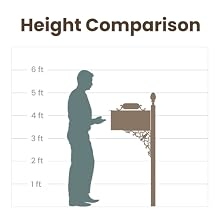 magnolia height