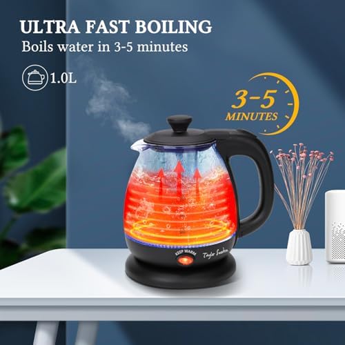 Taylor Swoden Electric Kettle with Tea Infuser, 1L Small Electric Tea Kettle with Keep Warm, LED Light Hot Water Boiler & Heater for Coffee & Teas