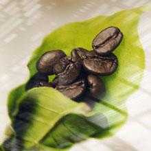 Singular Sensational image featuring the 9 different coffee beans that make up the illy blend.