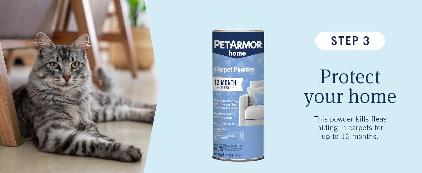 step 3: protect your home