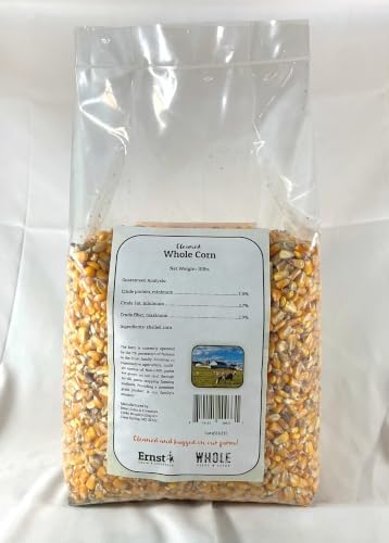 Ernst Grain & Livestock Whole Corn – Perfect Feed for Deer, Squirrels, Chickens, Ducks, Rabbits, Geese, and More! (46 Pound)