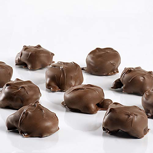 Sanders Milk Chocolate Pecan Tortie, Chocolate & Caramel Pecan Turtles, Individually Wrapped (48 Count), .5 Ounce (Pack of 48)