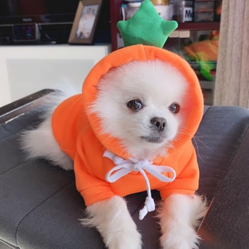 ANIAC Dog Hoodies Sweatshirt with Bunny Ears Spring Puppy Clothes for Small Dog Girl Boy Soft Doggy Sweater Cat Apparel Pet Clothing for Kitten