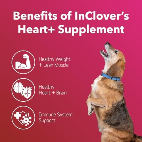 InClover Heart+ Taurine Powder for Dogs & Cats, Heart Health Supplement | Supports cardiac, brain, immune function, weight management, w/ L-Carnitine