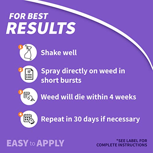 Bonide Poison Oak & Ivy Killer, 32 oz Ready-to-Use Spray | For Home Gardening, Fast-Acting Formula, Kills the Roots