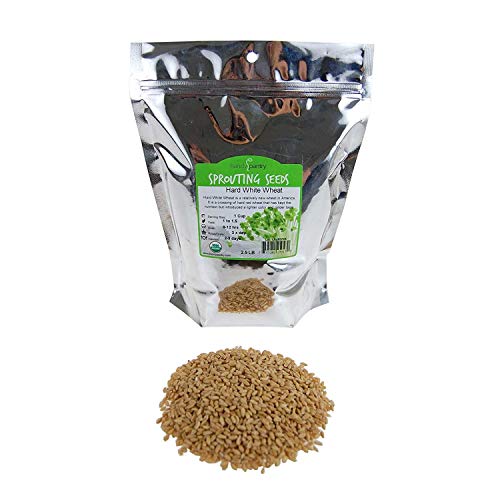 Handy Pantry Organic Whole Wheat Kernels - 2.5 Lb Non-GMO Hard White | Hard White Wheat Grain and Heirloom Seeds for Sprouting, Wheatgrass