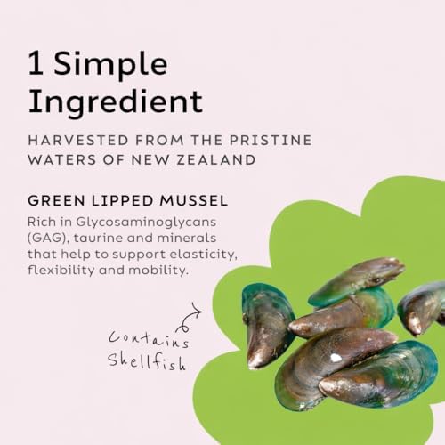 Joint Power Supplement Powder for Dogs & Cats, 2.64 oz Jar | Joint Supplement Powder made with 100% Green Lipped Mussels to Support Joints, Tendons, and Ligaments