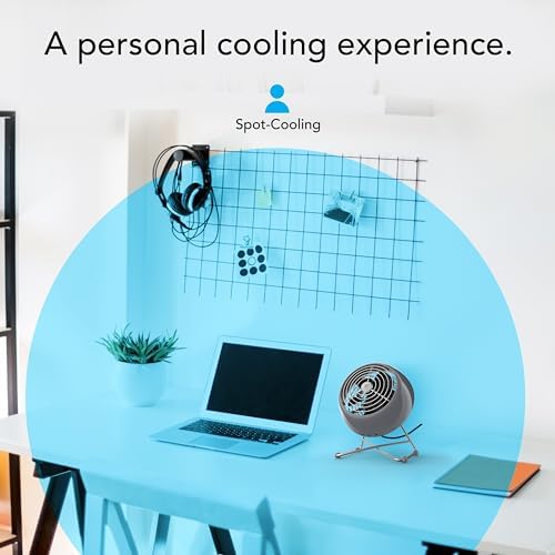 Vornado VFAN™ Mini Modern Personal Desk Fan with 2-Speed Control, Adjustable Tilt, Quiet Metal Air Circulator for Office, Bedroom, Dorm