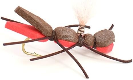 The Fly Fishing Place Chernobyl Ant and Foam Hopper Fly Fishing Flies Assortment - 12 Flies - 2 Each of 6 Trout Bass Flies with Fly Box