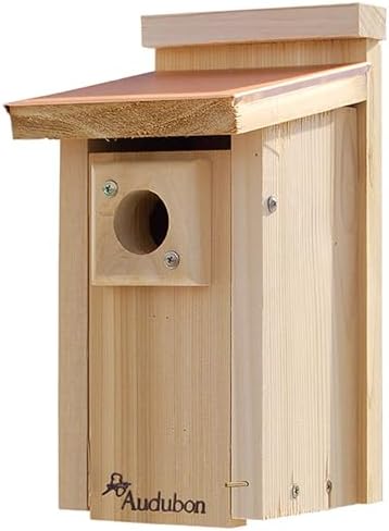 Audubon Coppertop Cedar Wood Bluebird House Model NACOPBB