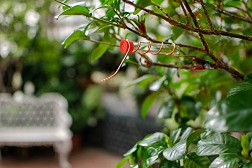 RELODECOR Hummingbird Feeder Tubes with Red Cap, 12 Pack