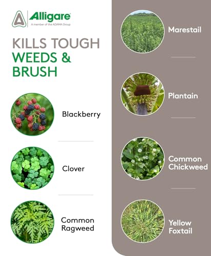 ALLIGARE SFM 75 Weed Killer - Broad-Spectrum Pre- and Post-Emergent Weed Killer for Forestry, Rights-of-Way, Industrial & Non-Crop Sites - Low Use Rates, Residual Performance - 3 lb