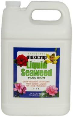 Maxicrop 2002 Liquid Seaweed Plus Iron Fertilizer, 1-Gallon