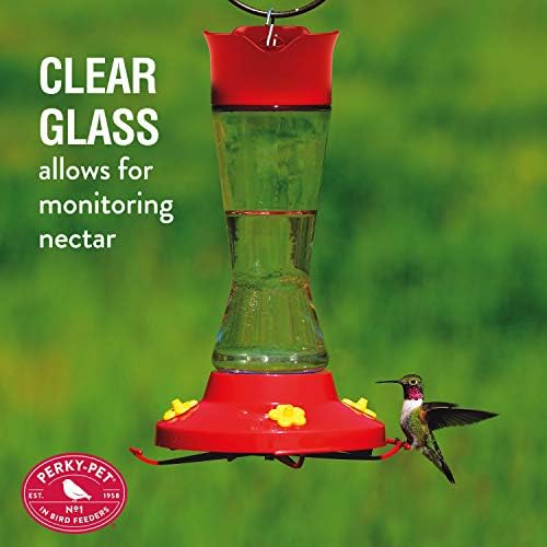 Perky-Pet 210PB Pinch-Waist Glass Hummingbird Feeder with Perches, Built-in Ant Moat and Bee Guards - Outdoor Garden Decor, Unique Gifts