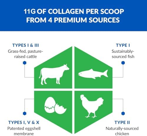 BioTrust Multi Collagen Peptides Unflavored Powder - Hydrolyzed, Grass Fed | 5 collagen types (I, II, III, V & X) from grass fed beef, fish, chicken & eggshell membrane with protein support