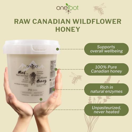 Oneroot 100% Canadian Wildflower Honey - 1.1 lbs, Unheated & Creamed - Nutrient-Rich, Natural Sweetener with Enzymes - Thick & Pure Raw Unfiltered Honey