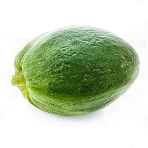 Kejora Fresh Green Papayas 2 PCS (about 2LB per pc)