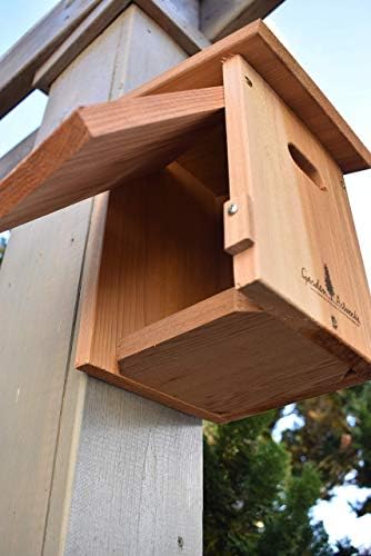Swallow Birdhouse with Special Entrance Deters House Sparrows. Made in the USA!
