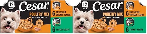 Cesar Filets in Gravy Wet Dog Food, Steak Mix Variety, 3.5 oz, 24 Count | Filet Mignon, New York Strip & Prime Rib, real meat, slow-cooked, no fillers/added sugar/artificial flavors, easy peel trays