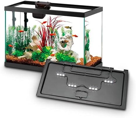 Aqueon Aquarium Fish Tank Starter Kit with LED Lighting 10 Gallon Fish Tank