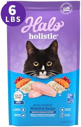 Halo Holistic Dry Cat Food for Sensitive Stomach, Wild-Caught Whitefish Natural Adult Cat Kibble with Healthy Grains, Probiotics & Omega Fatty Acids for Skin and Coat Health, 6 lb Bag