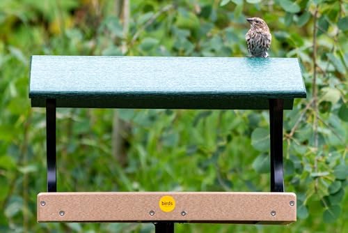 Birds Choice SNFT-300 Fly-Thru Feeder, Recycled Pole Mounted Bird Feeder, Large, Taupe/Green | Recycled Plastic Platform with Roof, Welcomes Cardinals, Jays and Other Wild Birds, 19in x 15.75in x 13in