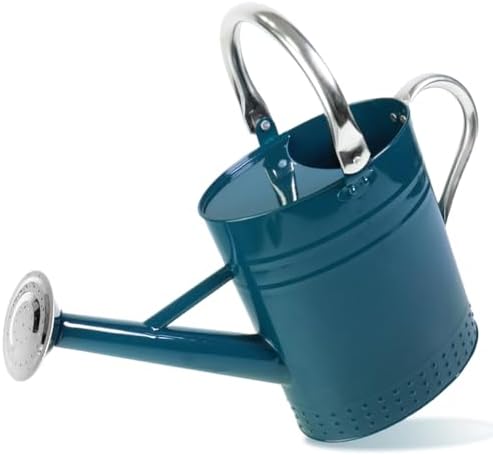 1 Gallon Metal Watering Can with Removable Spout, Nice Galvanized Steel Water Can with Embossed Design for Indoor and Outdoor Plants