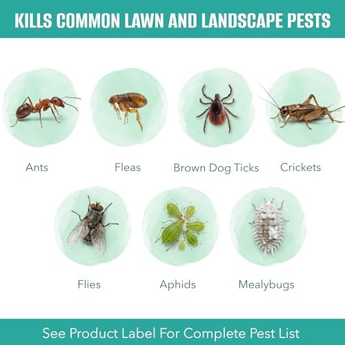 EcoSMART Insect Killer Granules for Lawns & Landscapes, 10 lb Bag, Plant-Based Pest Control with Clove & Thyme Oil