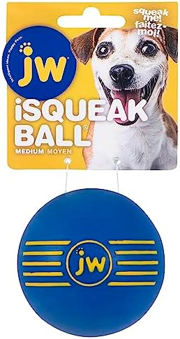 JW Squeak-ee Ball Puppy Toy | Water Resistant Design.