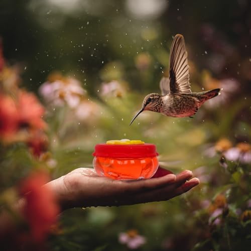 ORIENTOOLS 2Pcs Mini Handheld Hummingbird Feeders, Suction Cup Window Glass | 2 hummingbird feeders
