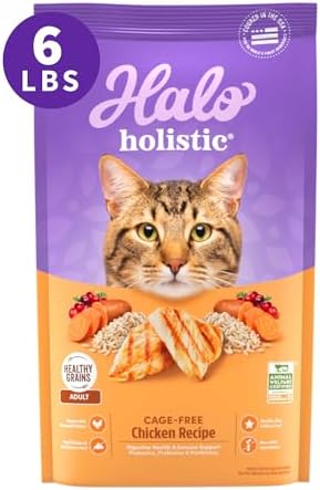 Halo Holistic Cage Free Chicken Cat Food, Healthy Grains Dry Cat Food, Complete Digestive Health, Kibble for Adult Cats, 6 lb Bag