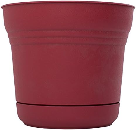 Bloem Saturn Planter with Saucer, 10", Calypso (SP1027)