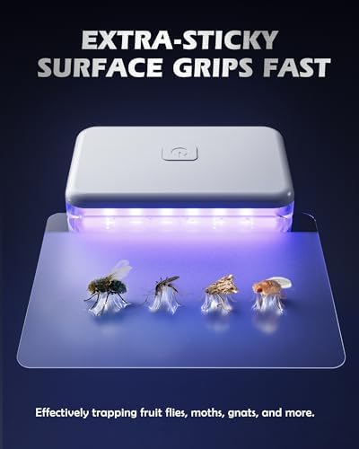 LFSYS 2 Pcs Fruit Fly Traps for Indoors (2 Device+10 Refills) Plug in UV Light Fly Trap for Gnats, Fruit Flies, Flying Insects Sleek Design Indoor Safe