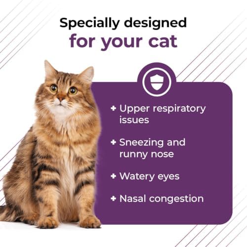 VetriScience Lysine Immunity Health Chews, 250 mg Lysine Plus Immune Supplement for Cats and Kittens with Allergies, Sneezing, Runny Nose and Watery Eyes, Chicken, 120 Count