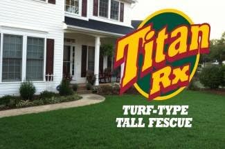 Titan Rx (Ultra) Tall Fescue Grass Seeds - 50 Lbs.